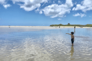 Educate The Public On The Best Ways To Protect Our Fisheries