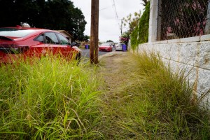 Oʻahu Needs Sidewalks. Should The County Be Required To Build Them?