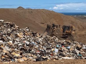 A Call To Hawaiʻi Merchants: Help End Food Waste