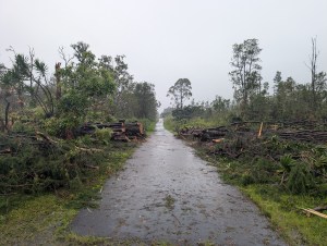 Will Bailey: Riders On The Storm