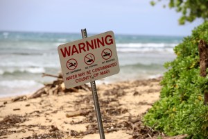 Lahaina Wastewater Plant Spilled 200,000 Gallons. Why Did People Still Swim?