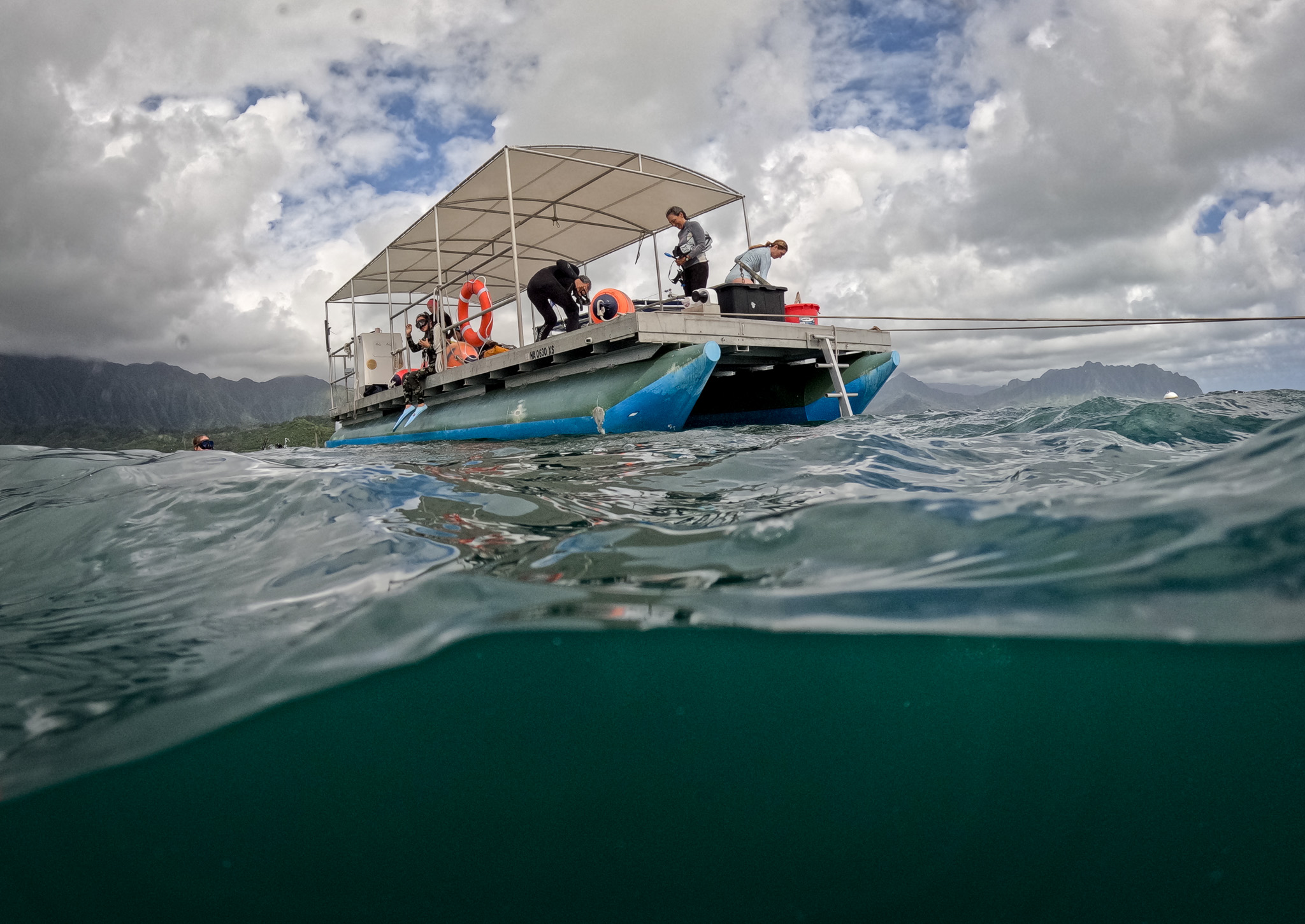 DAR and affiliate investigators at Reef Eight in Kāneʻohe Bay May 28, 2026. An invasive anemone was discovered at the site after a sharp-eyed fisher noticed unusual coral which harbored the fugitives. (Craig Fujii/Civil Beat/2026)