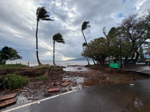 Extreme Weather Can Whip Up Anxiety. A Safety Plan Can Help