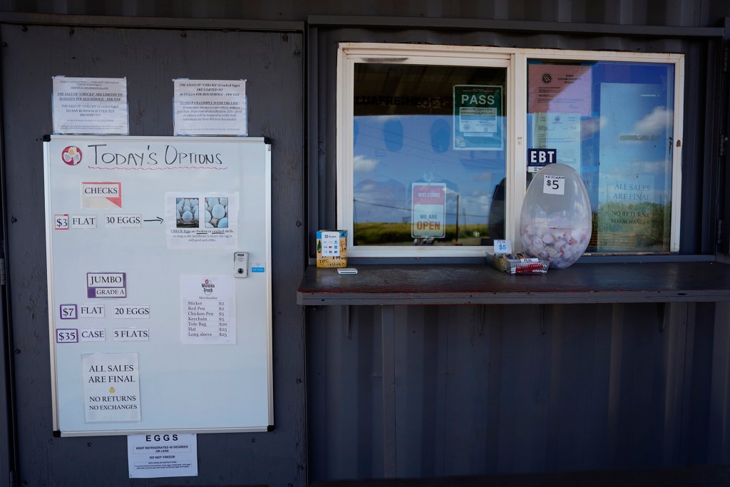The Waialua Fresh Eggs store is photographed Wednesday, June 24, 2026, in Waialua. (Kevin Fujii/Civil Beat/2026)