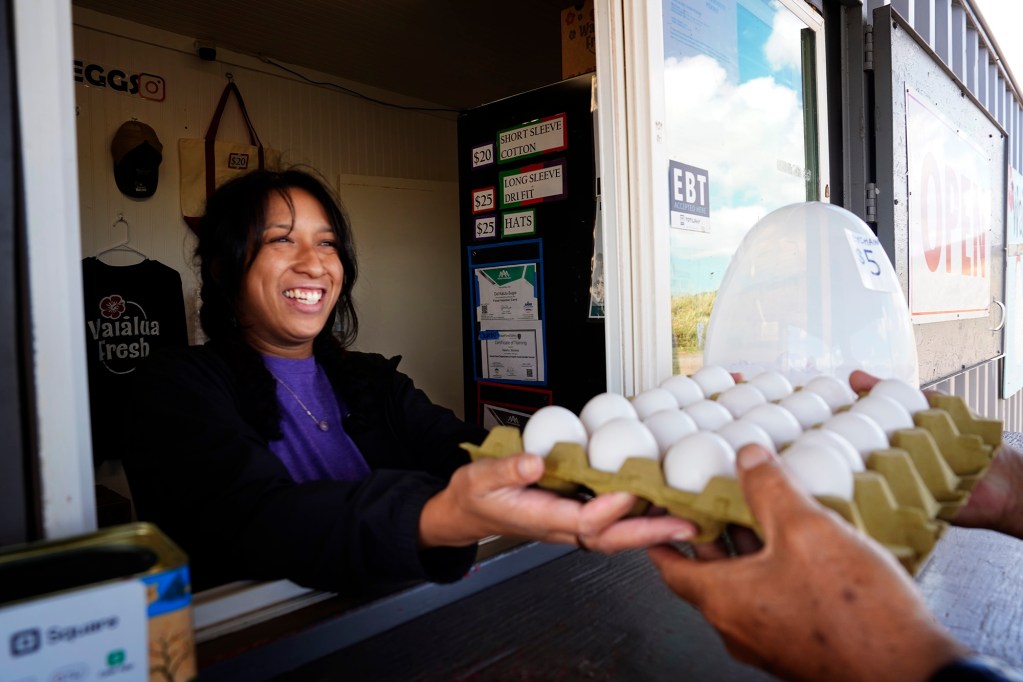 Ahzareh Shelton-Peters hands eggs to a customer on her first day working at the Waialua Fresh Eggs store Wednesday, June 24, 2026, in Waialua. (Kevin Fujii/Civil Beat/2026)